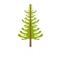 Larch tree icon, flat style