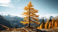 Larch Tree On Mountain: A Stunning 8k Resolution Image