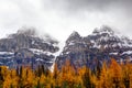 Larch Valley in the Canadian Rockies Royalty Free Stock Photo