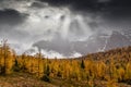 Larch Valley in the Canadian Rockies Royalty Free Stock Photo