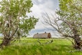 Large, abandoned barn on the Saskatchewan prairies framed by two trees