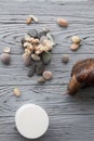 Large Achatina snail for cosmetic and medical procedures for skin regeneration, rejuvenation