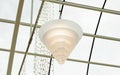 large acrylic lamp hangs from ceiling