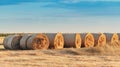 Large alfalfa hay bales in field in sunset, agriculture and farming concept Royalty Free Stock Photo