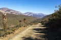 Large aloes line the gravel road down in the valley Royalty Free Stock Photo