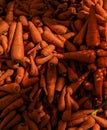 Large amount the carrots vegetable orange colour wallpaper