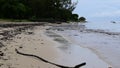 Large amount of debris brought back to the sea after a series of flash floods onshore.