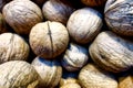 a large amount of freshly harvested colorful walnuts lie in a box