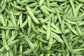 A large amount of green peas in pods on the market counter. Royalty Free Stock Photo