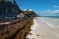 Large amounts of Sargassum seaweed at the cliff beach of Tulum ruins, Mexico