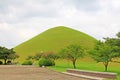 Daereungwon Tomb Complex, South Korea Royalty Free Stock Photo