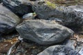 Large Andesite rock with a small stream in a tropical forest. Royalty Free Stock Photo