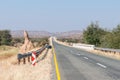 Large anthill next to a bridge on the C35-road Royalty Free Stock Photo