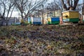 large apiary with lots of hives in garden view from above. Apiary from multi-hull old hives in garden in winter. Lions Royalty Free Stock Photo