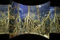 Large aquarium tank