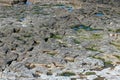 Large area of rocks on the coast.