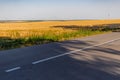 Large areas of fields with wheat and barley. Russia, Rostov region, roadways near a grown crop of Golden ears