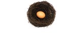 The large artificial bird nest with eggs