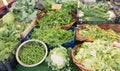 Large assortment of herbs and vegetables