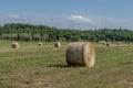 Large bales of hay in a field in the Tuscan countryside in the province of Pisa, Italy