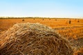 Large bales of hay and wheat field mown