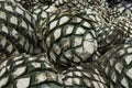 Large balls of agave are in the tequila factory.