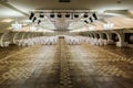 Banquet hall for wedding reception with served tables and spacious dance floor Royalty Free Stock Photo