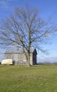 Large bare tree and barn Royalty Free Stock Photo