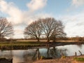 large bare tree branches over lake river country winter Royalty Free Stock Photo