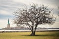 A Large Bare Tree with Lady Liberty Statue and Island in Background at Winter Season. Royalty Free Stock Photo