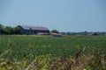 Large barn in the field