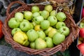 Large basket full of green apples at the fruit and market