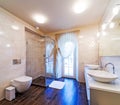 Large Bathroom