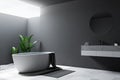 Grey large loft bathroom corner, tub and sink Royalty Free Stock Photo