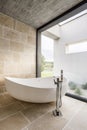 Large bathtub and window wall