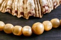 Large beads of mother-of-pearl and a large sea shell Royalty Free Stock Photo