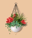 Large beautiful bush of different plants with hanging red flowers in a flower pot isolated on warm background. Vector illustration