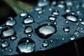 Large beautiful drops of transparent rain water