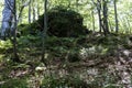 A large, beautiful stone with green moss burned in the woods on the way to the Kozya Stena hut. The mountain in the central Balkan