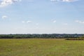 Large beautiful summer the field with a distant kind on a forest