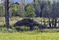 A large beaver building on a moor lake in Bavaria