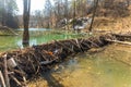 Large beaver dam which flooded marshes and created lake