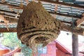 A large beehive creates a nest in the house of people.