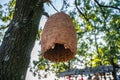 Large beehive house on a tree in a forest