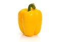 Large bell pepper yellow on white background