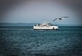 A large bird approaches the deck of a ferry at Cape cod MA Royalty Free Stock Photo