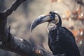 a large bird with a long beak sitting on a tree branch Royalty Free Stock Photo