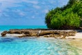 Large Bird on Maldive Island Sand Beach