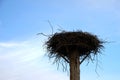 Large bird nest built on a tall concrete column. It is made of twigs showing in all directions. There is sky with a lot of copy sp