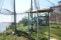 Large bird trap at the ornithological station, near the Curonian Lagoon, Ventes ragas. Lithuania